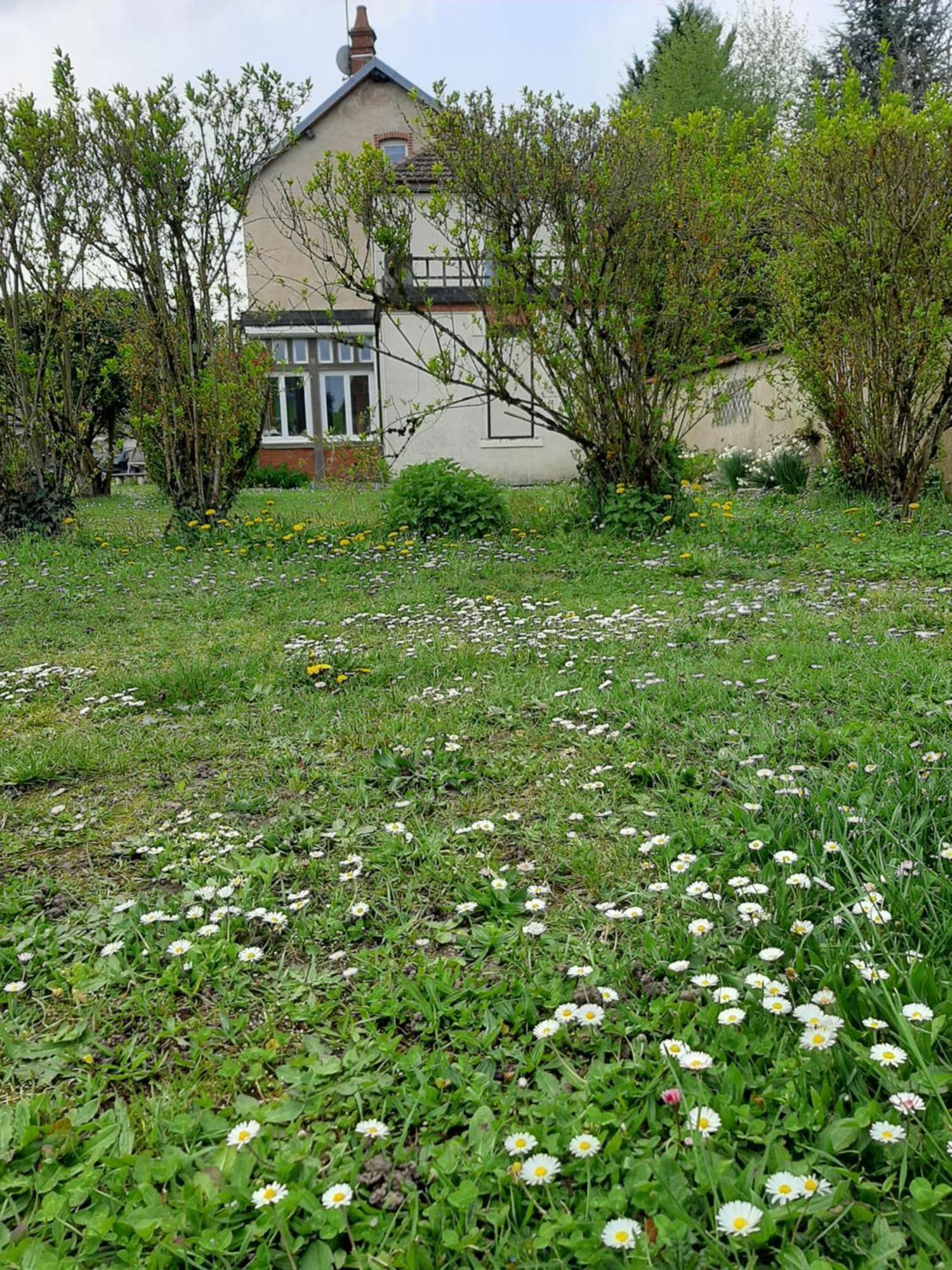 La Coutrotte Becquine Otel Heuilley-sur-Saone Dış mekan fotoğraf